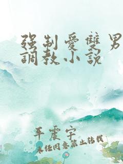 强制爱双男训诫调教小说