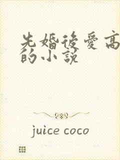 先婚后爱高干文的小说