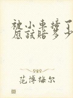 被小车撞了轻伤应该赔多少钱