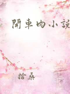 开车肉小说