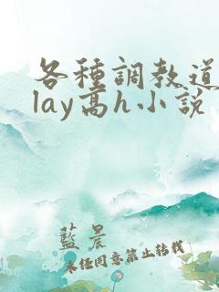 各种调教道具play高h小说