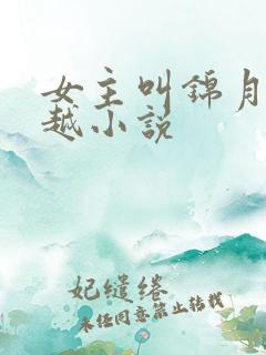 女主叫锦月的穿越小说