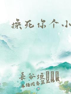 操死你个小母狗