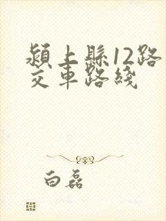 颍上县12路公交车路线
