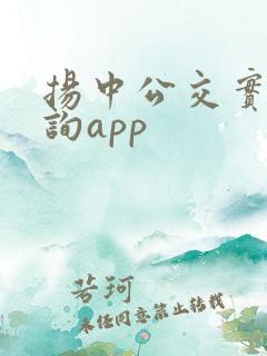 扬中公交实时查询app