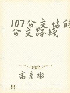 107公交站的公交路线