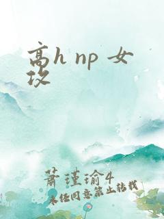 高h np 女攻