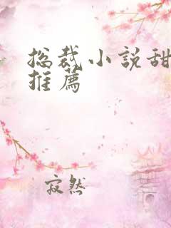 总裁小说甜宠文推荐