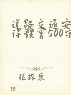 道路交通安全心得体会500字