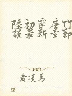 陆初霁唐竹心小说最新章节免费阅读