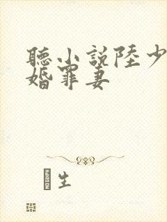 听小说陆少的隐婚罪妻