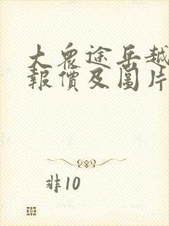 大众途岳越野车报价及图片