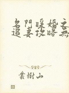 名门暖婚之权爷追妻攻略无删减 名门暖婚之权爷追妻攻略无删减