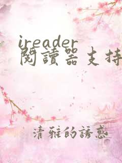 ireader阅读器支持什么格式