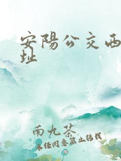 安阳公交西站地址