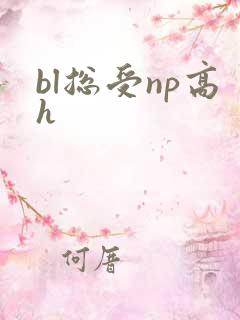 bl总受np高h