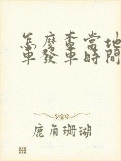 怎么查当地公交车发车时间