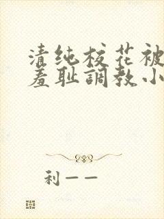 清纯校花被民工羞耻调教小说