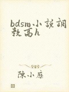 bdsm小说调教高h