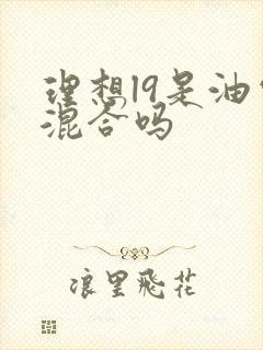 理想l9是油电混合吗