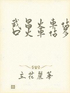 武昌火车站到汉口火车站多远