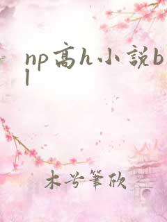 np高h小说bl