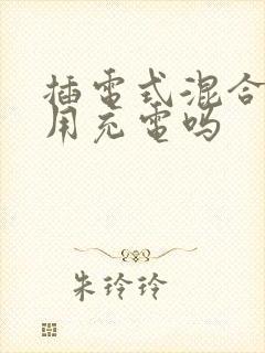 插电式混合动力用充电吗