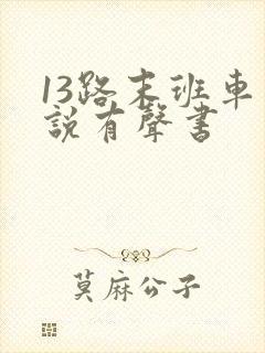 13路末班车小说有声书