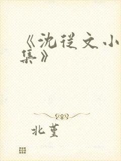 《沈从文小说选集》