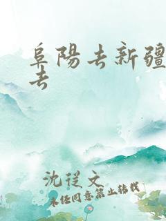 阜阳去新疆怎么去
