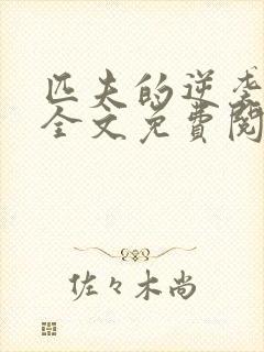 匹夫的逆袭小说全文免费阅读全文
