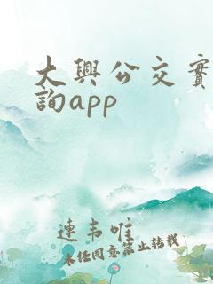 大兴公交实时查询app