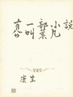 有一部小说主人公叫叶凡
