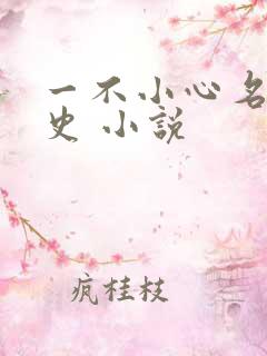 一不小心名垂千史 小说
