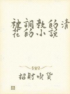 被调教的清纯校花的小说