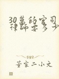 30万的官司请律师要多少钱