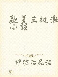 欧美三级激情性小说