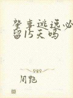 肇事逃逸必须拘留15天吗