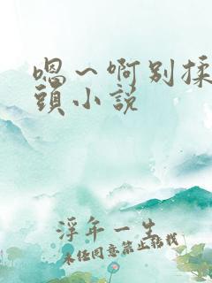 嗯～啊别揉我奶头小说
