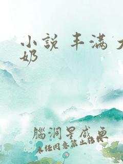 小说 丰满 大奶