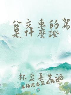 公交车的驾驶证是什么证