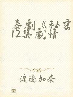 泰剧《秘密爱》12集剧情