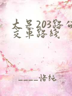大足203路公交车路线