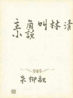 主角叫林清雪的小说