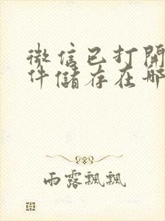 微信已打开的文件储存在哪里