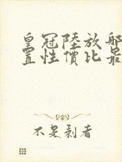 皇冠陆放哪个配置性价比最高