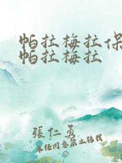 帕拉梅拉保时捷帕拉梅拉