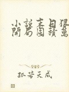 小说末日狠人:开局囤积万亿物资