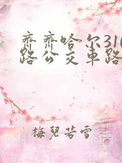 齐齐哈尔310路公交车路线时间表