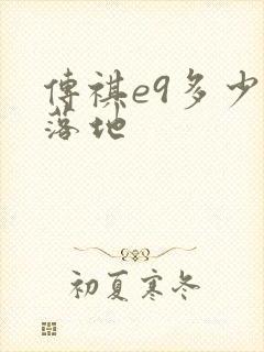 传祺e9多少钱落地